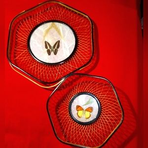 2 Vintage Real Butterfly Wing Baskets